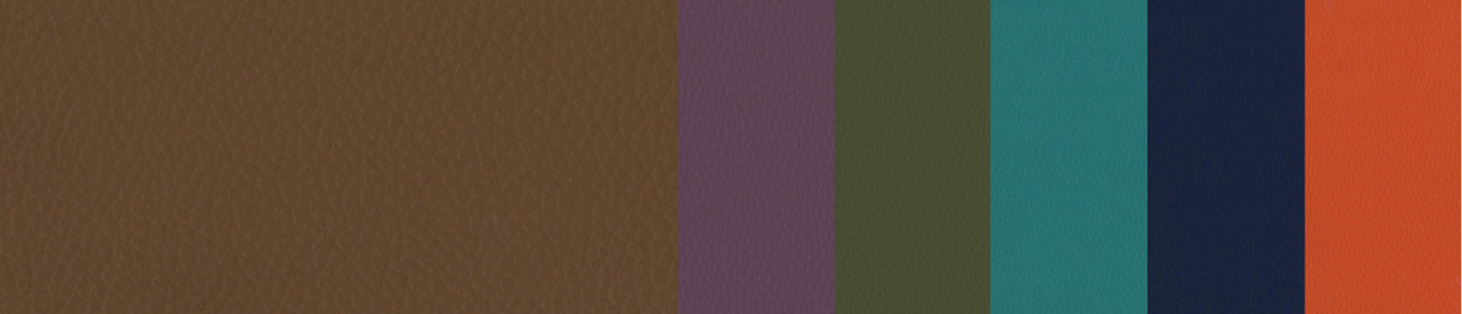 Leather Comfort (11 culori)
